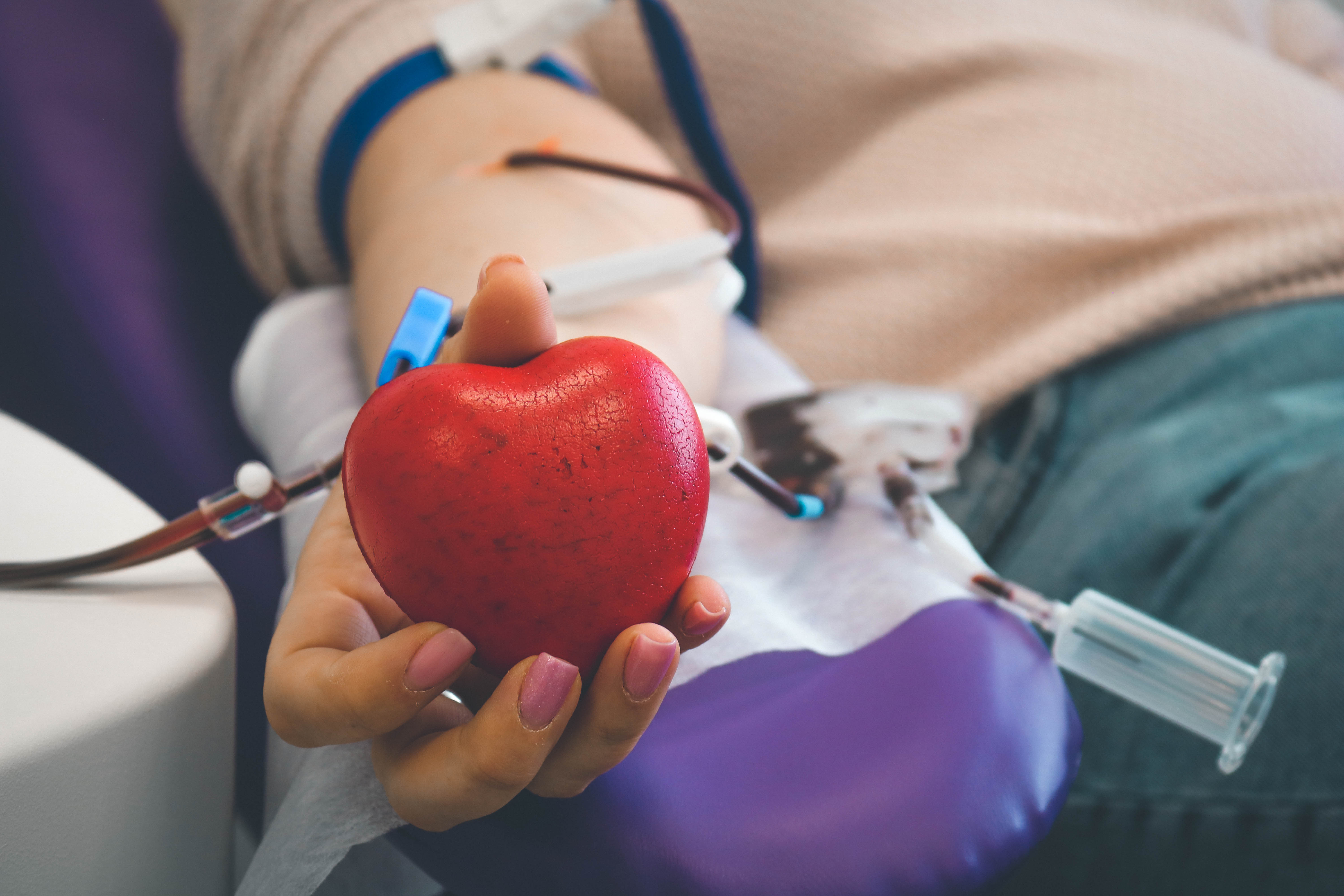 Сдать кровь и спасти чью-то жизнь. В Севастополе отмечают Национальный день донора