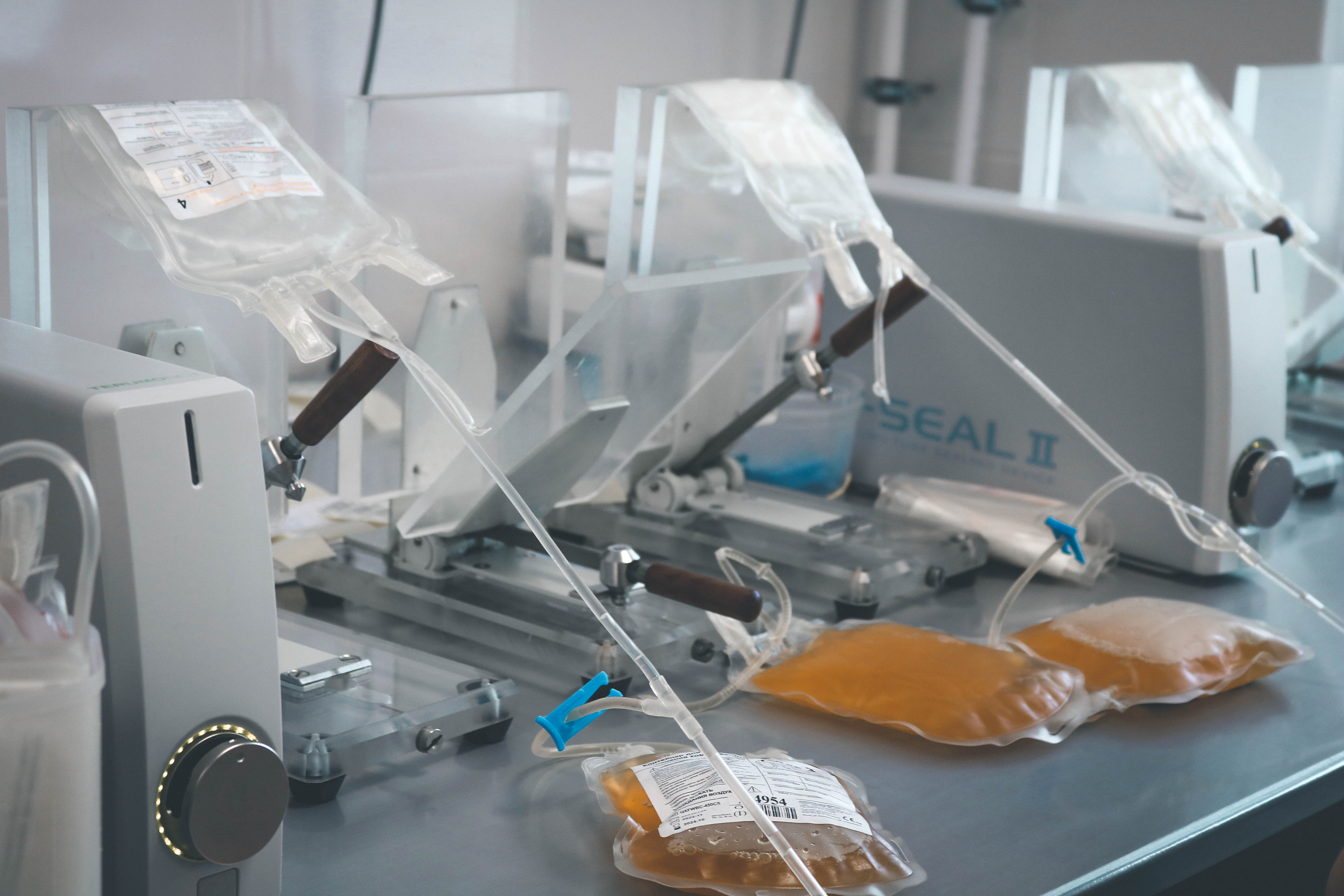 Сдать кровь и спасти чью-то жизнь. В Севастополе отмечают Национальный день донора