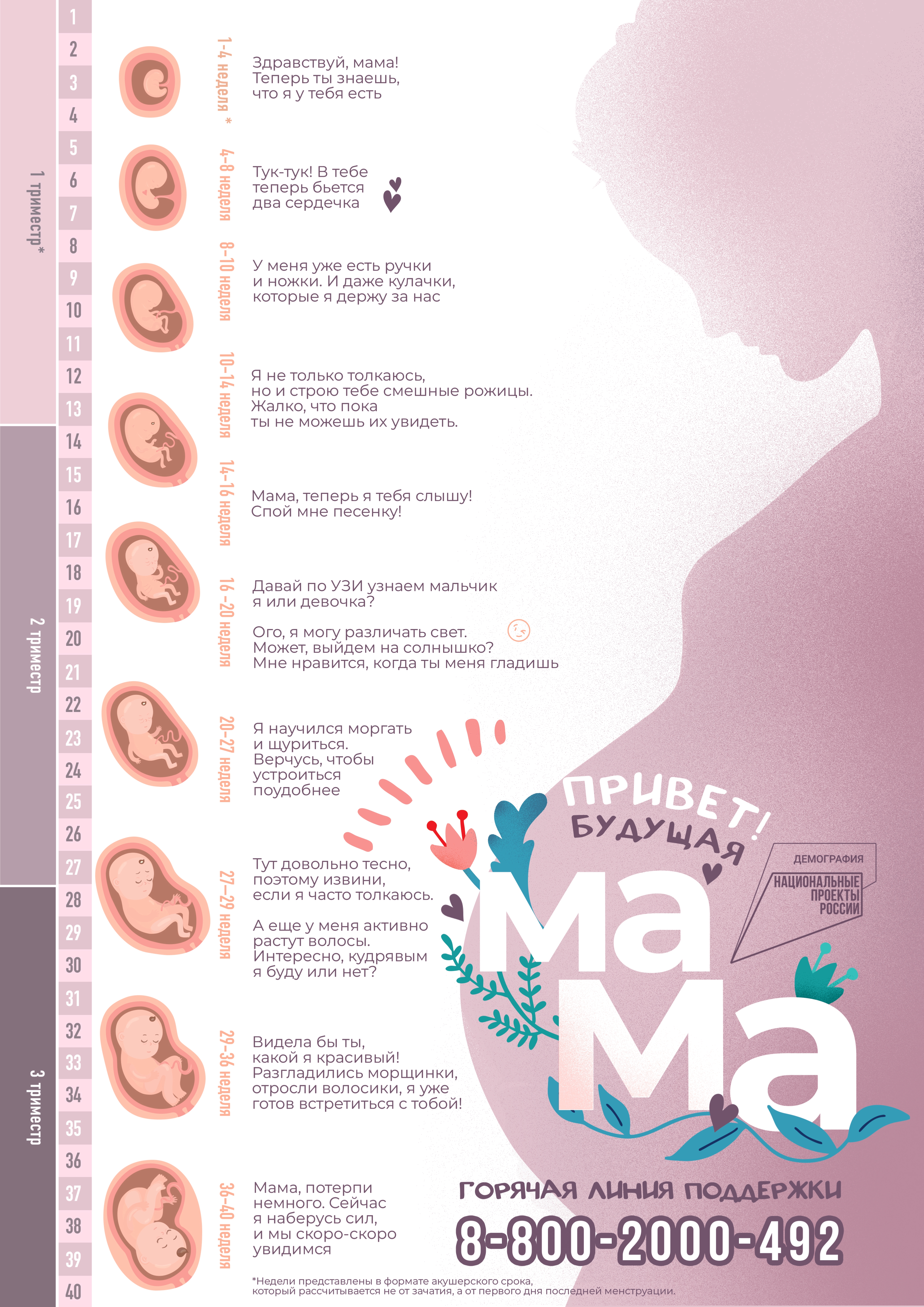 Информационные материалы по профилактике абортов - Департамент  здравоохранения города Севастополя