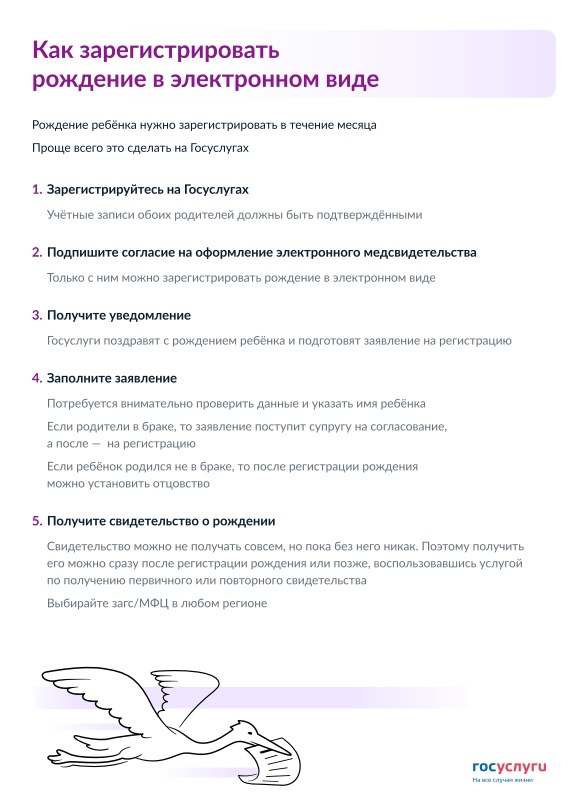 В Севастополе реализовали возможность подать свидетельство о рождении ребёнка в электронном виде!