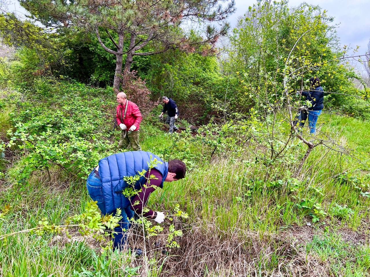 Сотрудники Департамента здравоохранения города Севастополя присоединились ко Всероссийскому субботнику