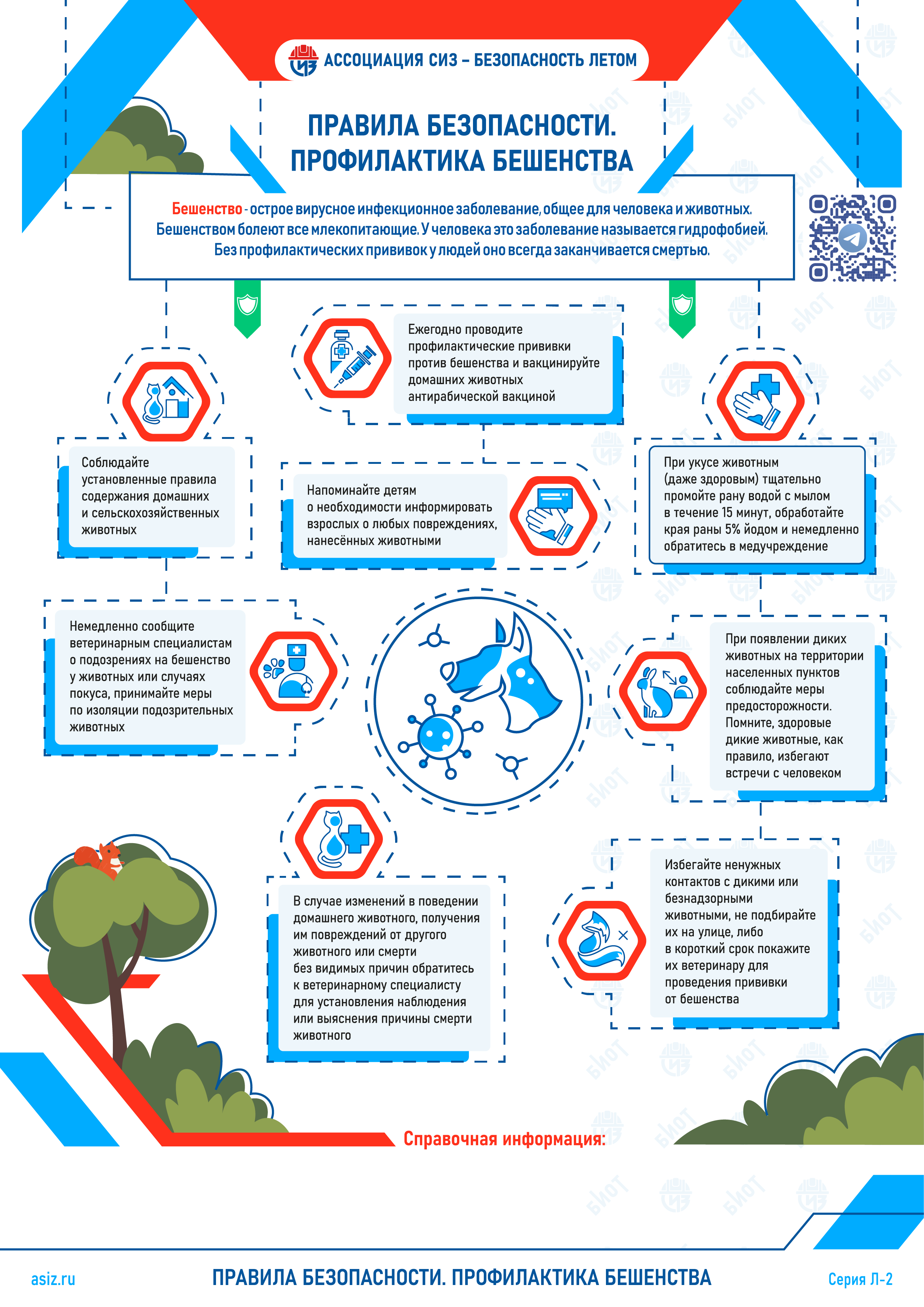 Общие правила безопасности по профилактике бешенства 