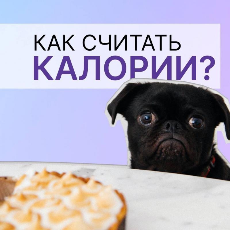 Полезная информация о том, как рассчитать потребляемые калории