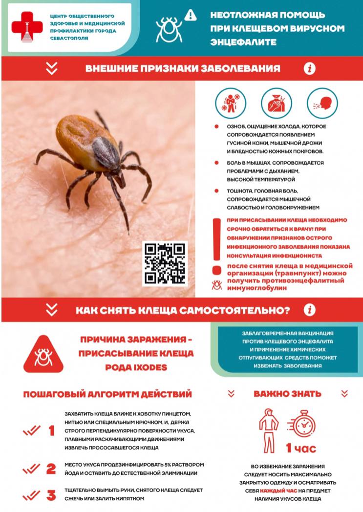 Неотложная помощь при клещевом энцефалите