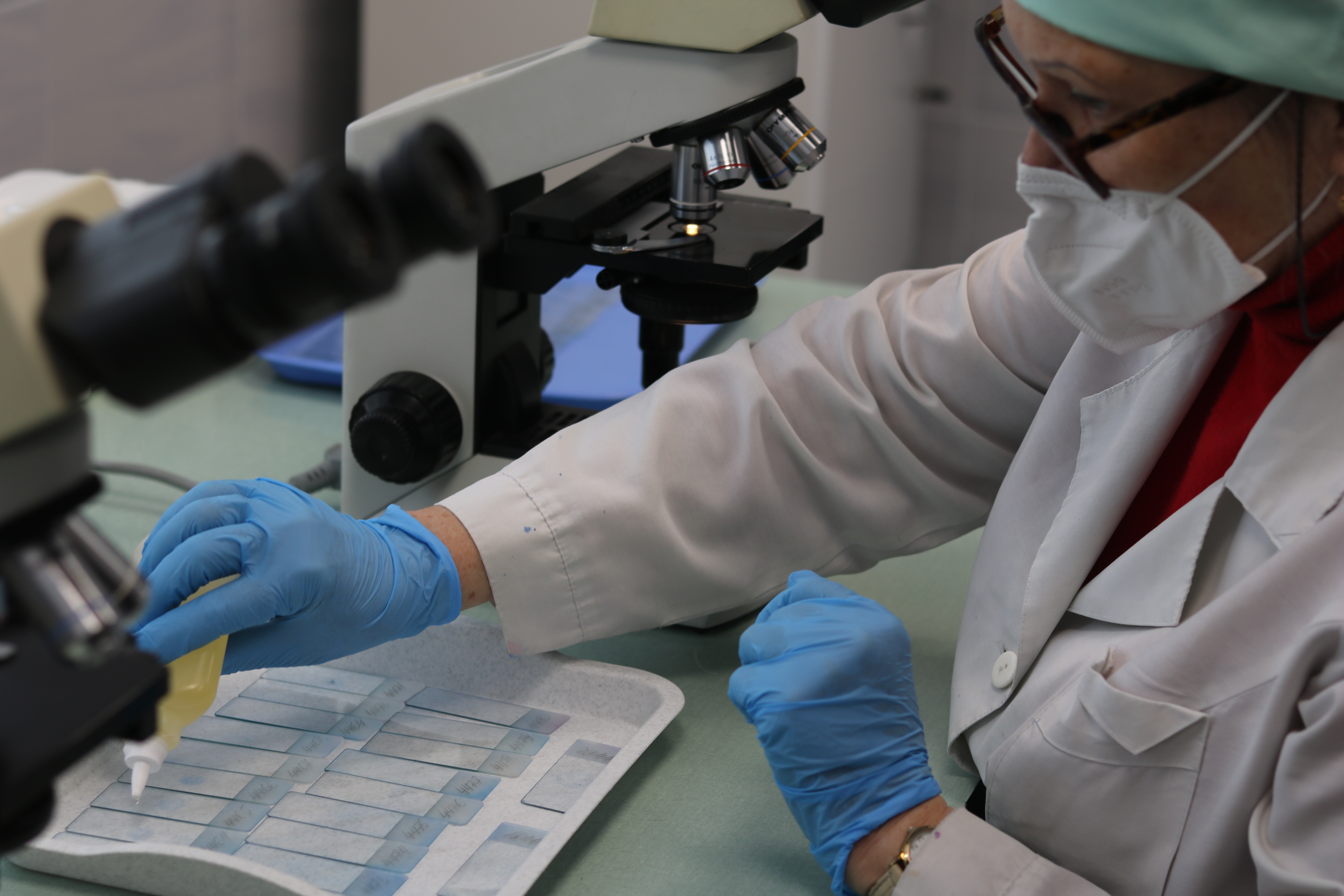 В Севастопольском противотуберкулезном диспансере прошел День открытых дверей, приуроченный ко Всемирному дню борьбы против туберкулеза