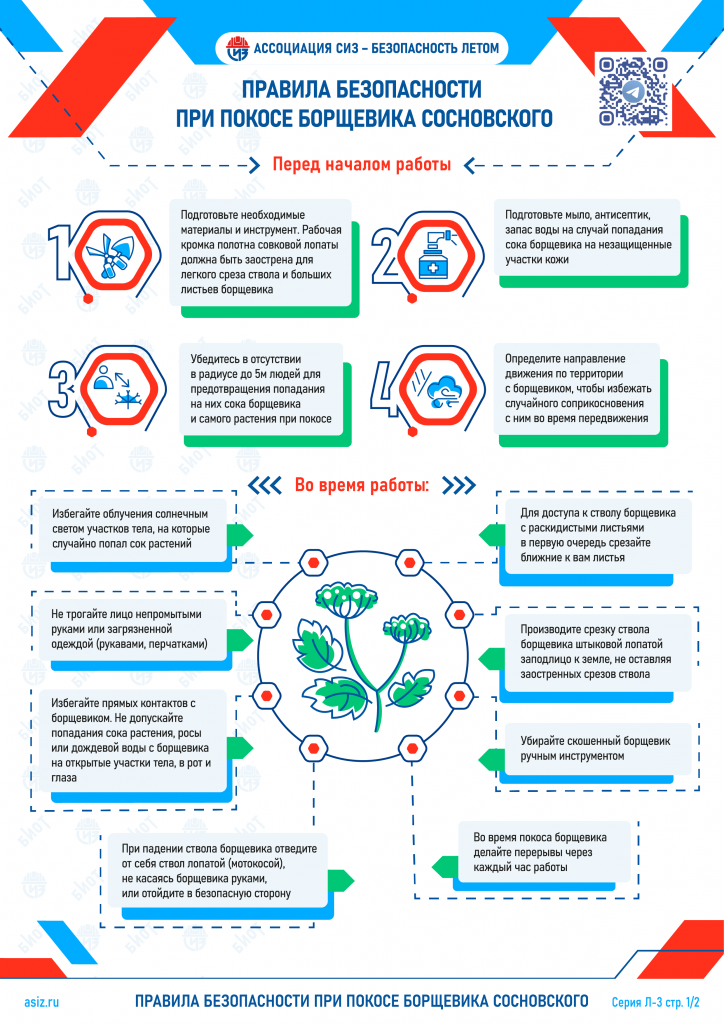 Серия Л-3_1из2_при покосе борщевика сосновского_АСИЗ.png