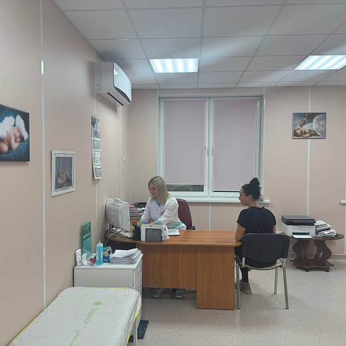 В Севастополе подвели итоги Дня репродуктивного здоровья 