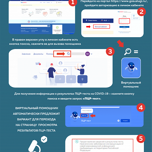 Как узнать результат пцр теста на госуслугах через мобильное приложение