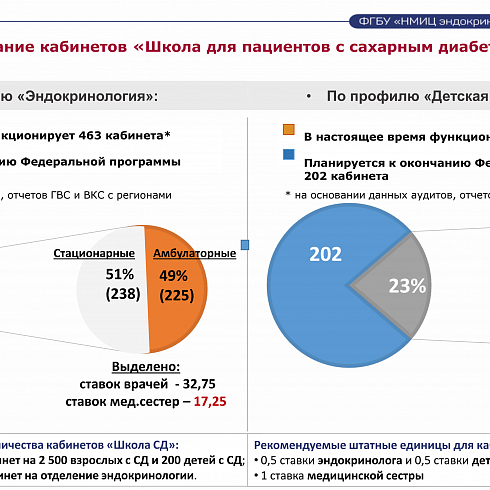 Презентация «Об оказании медицинской помощи пациентам при сахарном диабете, в том числе в рамках реализации планируемого федерального проекта «Борьба с сахарным диабетом»
