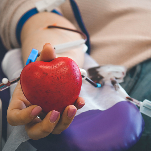 Сдать кровь и спасти чью-то жизнь. В Севастополе отмечают Национальный день донора