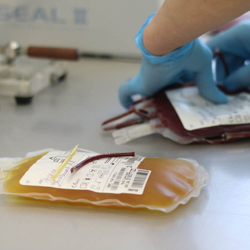 Донорство – не подвиг, а способ сделать мир лучше