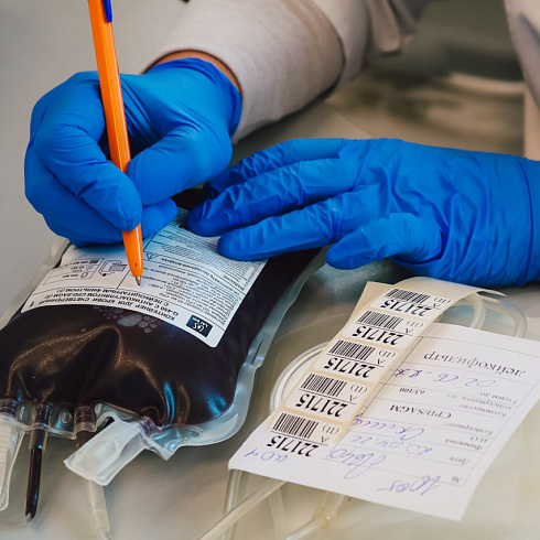 Реальная помощь в спасении человеческих жизней. В Севастополе отметили Национальный день донора