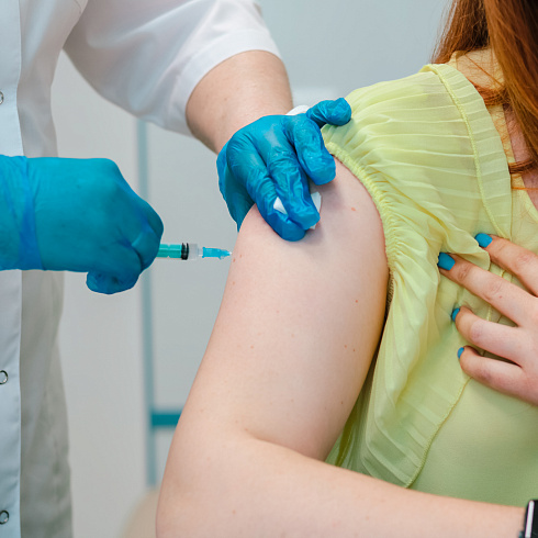 В поликлиниках Севастополя можно привиться от клещевого энцефалита