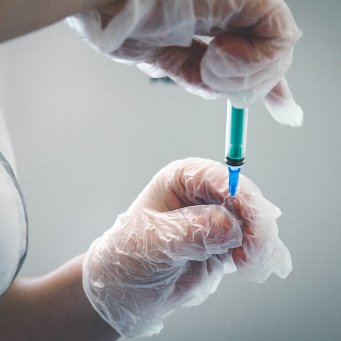 Время начинать: в Севастополе стартовала вакцинация против клещевого энцефалита