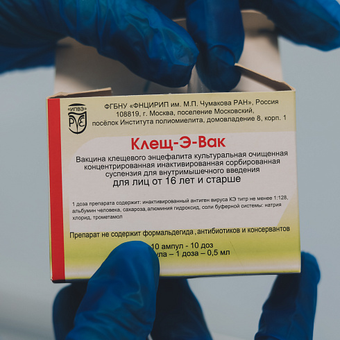 В поликлиниках Севастополя можно привиться от клещевого энцефалита