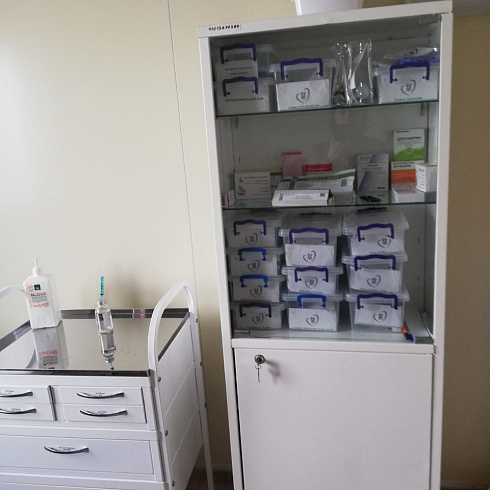 Заместители директора Департамента здравоохранения Севастополя проверили работу фельдшерско-акушерских пунктов городской больницы № 9