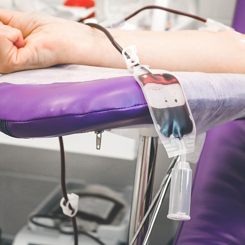 Сдать кровь и спасти чью-то жизнь. В Севастополе отмечают Национальный день донора