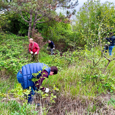 Сотрудники Департамента здравоохранения города Севастополя присоединились ко Всероссийскому субботнику