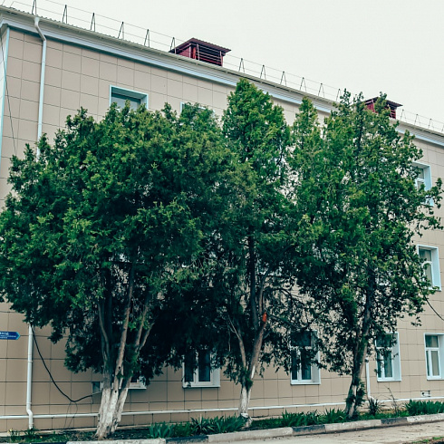 Капитальный ремонт больницы имени Даши Севастопольской завершен на 85 %