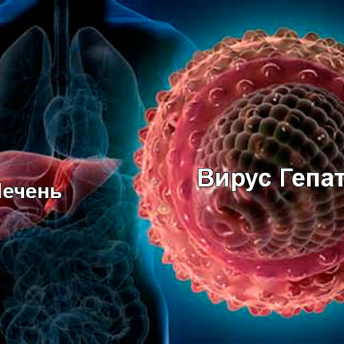 28 июля отмечается Всемирный День борьбы с гепатитом