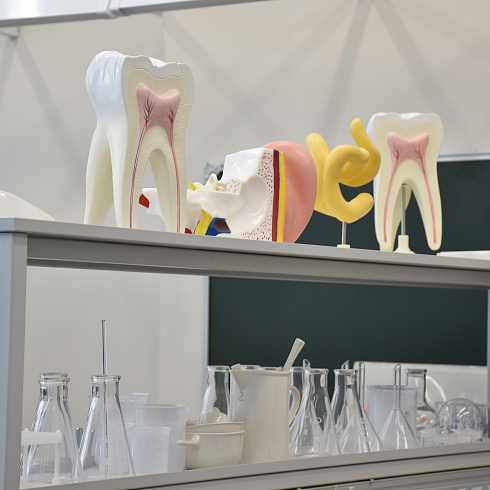 «Хочу, как ты»: для севастопольских школьников прошел урок профориентации медицинских профессий