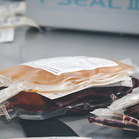 Сдать кровь и спасти чью-то жизнь. В Севастополе отмечают Национальный день донора