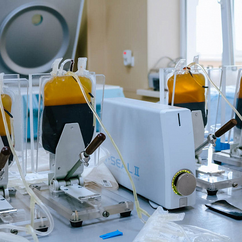 Сдать кровь и спасти чью-то жизнь. В Севастополе отмечают Национальный день донора