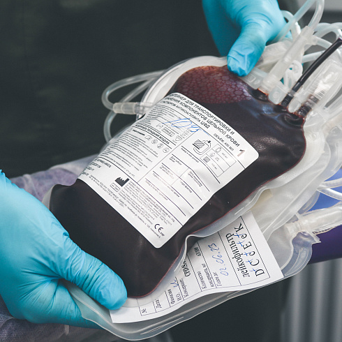 Сдать кровь и спасти чью-то жизнь. В Севастополе отмечают Национальный день донора