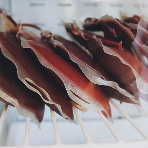 Донорство – не подвиг, а способ сделать мир лучше