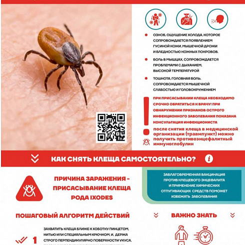 Неотложная помощь при клещевом энцефалите