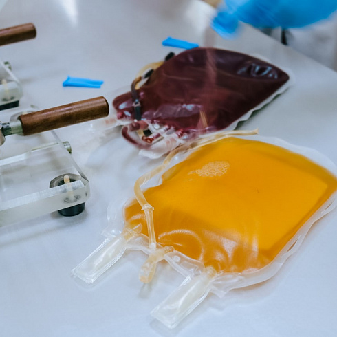 Реальная помощь в спасении человеческих жизней. В Севастополе отметили Национальный день донора